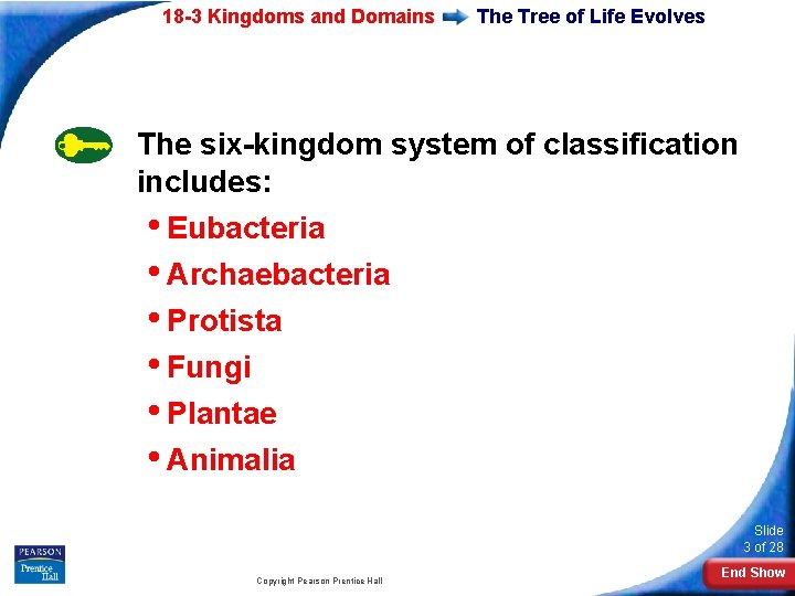 18 -3 Kingdoms and Domains The Tree of Life Evolves The six-kingdom system of