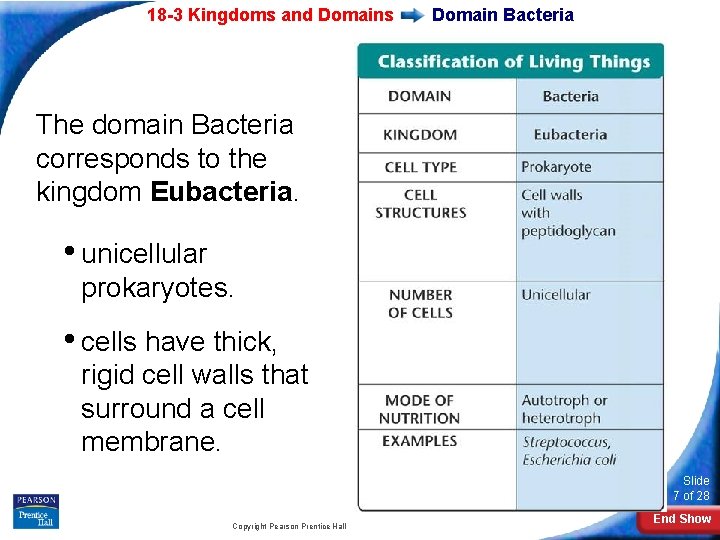 18 -3 Kingdoms and Domains Domain Bacteria The domain Bacteria corresponds to the kingdom