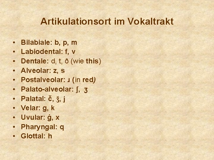 Artikulationsort im Vokaltrakt • • • Bilabiale: b, p, m Labiodental: f, v Dentale: