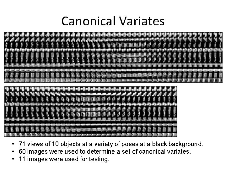 Canonical Variates • 71 views of 10 objects at a variety of poses at