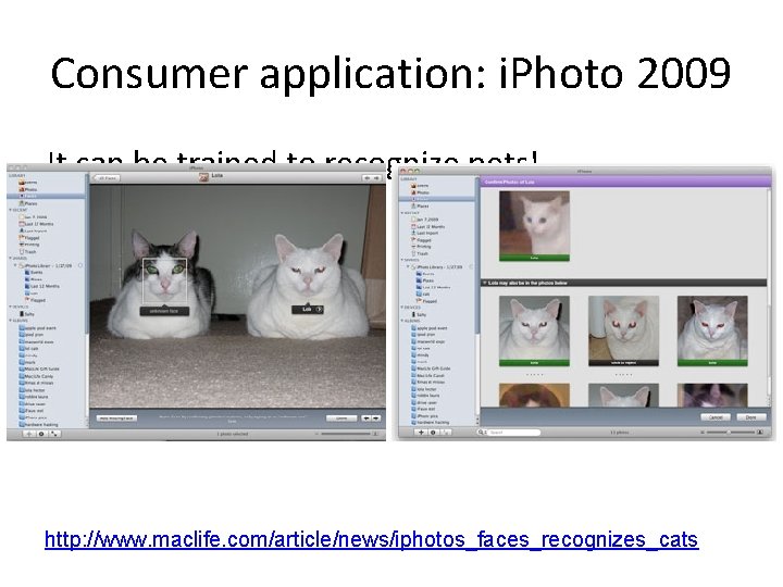 Consumer application: i. Photo 2009 It can be trained to recognize pets! http: //www.