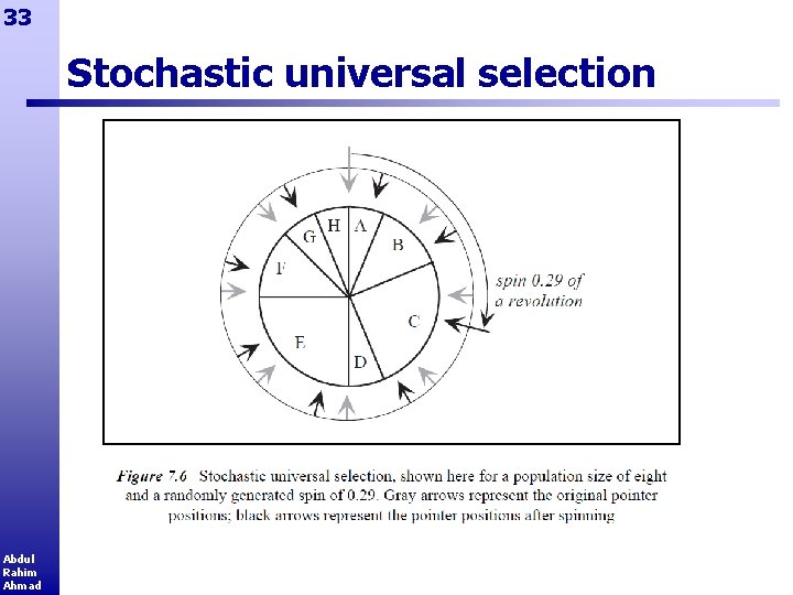33 Stochastic universal selection Abdul Rahim Ahmad 