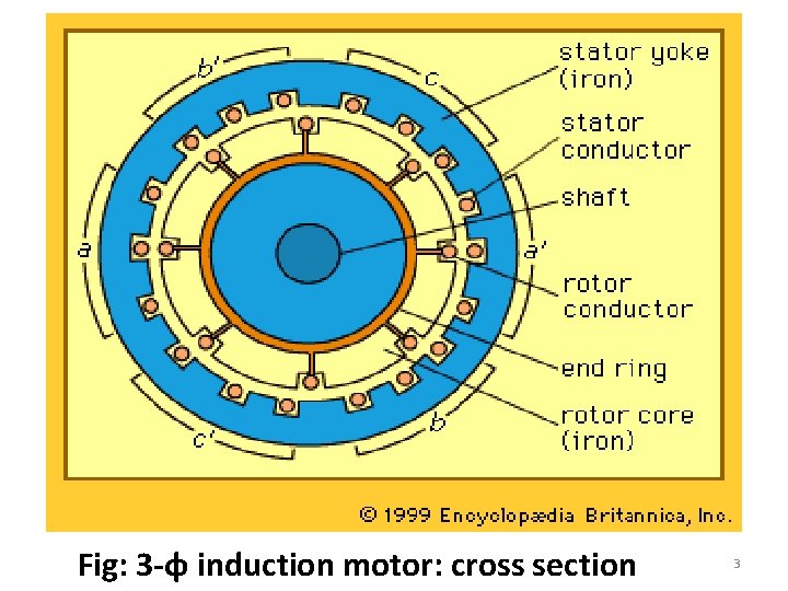 Fig: 3 -φ induction motor: cross section 3 