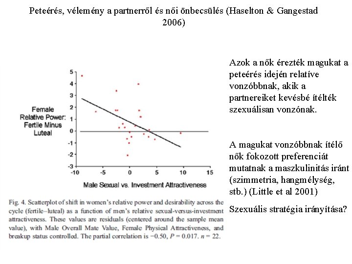 Peteérés, vélemény a partnerről és női önbecsülés (Haselton & Gangestad 2006) Azok a nők