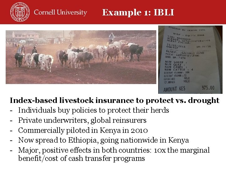 Example 1: IBLI Index-based livestock insurance to protect vs. drought - Individuals buy policies