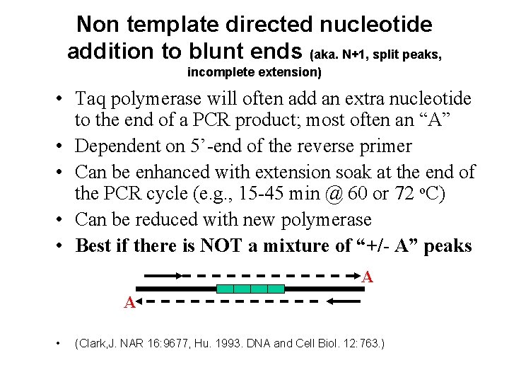 Non template directed nucleotide addition to blunt ends (aka. N+1, split peaks, incomplete extension)