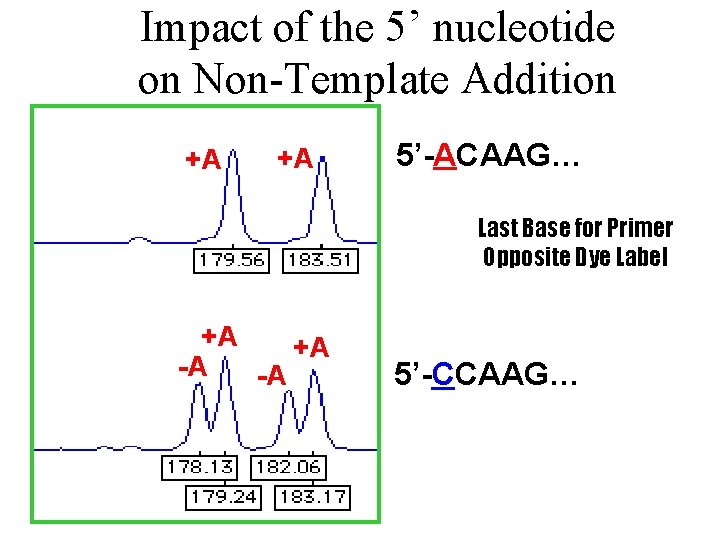 Impact of the 5’ nucleotide on Non-Template Addition +A +A 5’-ACAAG… Last Base for
