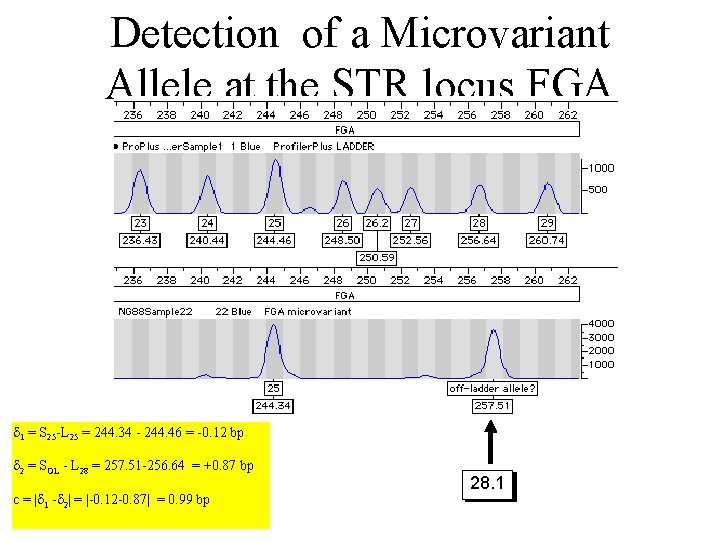 Detection of a Microvariant Allele at the STR locus FGA 1 = S 25
