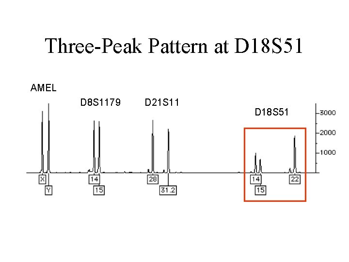 Three-Peak Pattern at D 18 S 51 AMEL D 8 S 1179 D 21