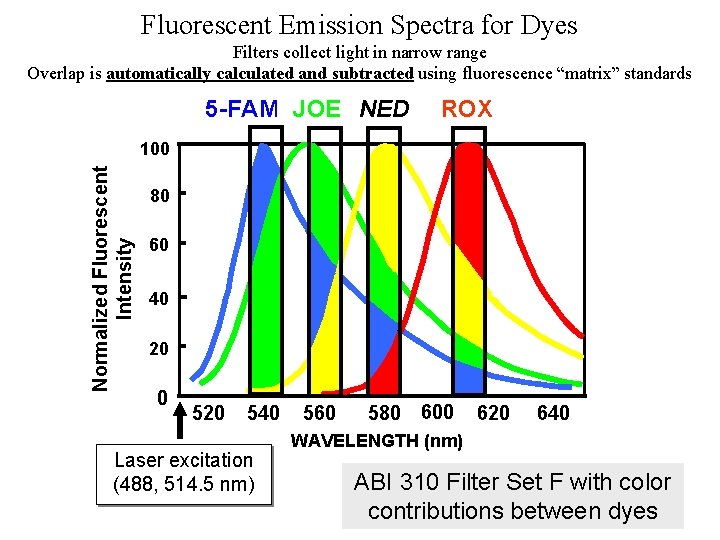 Fluorescent Emission Spectra for Dyes Filters collect light in narrow range Overlap is automatically