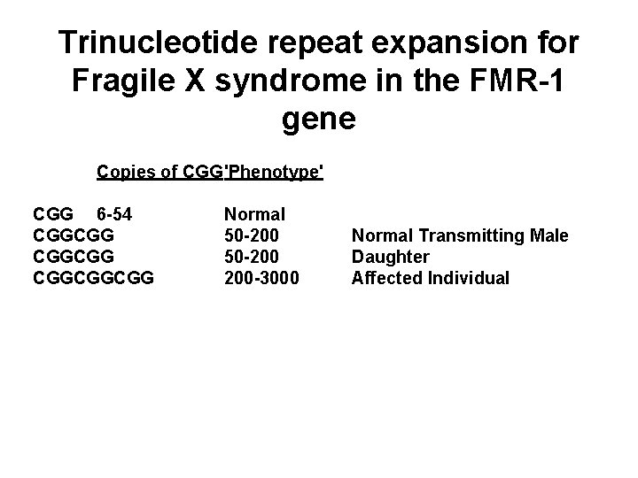 Trinucleotide repeat expansion for Fragile X syndrome in the FMR-1 gene Copies of CGG'Phenotype'
