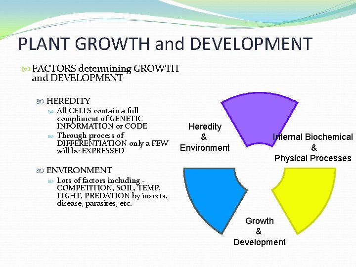 PLANT GROWTH and DEVELOPMENT FACTORS determining GROWTH and DEVELOPMENT HEREDITY All CELLS contain a