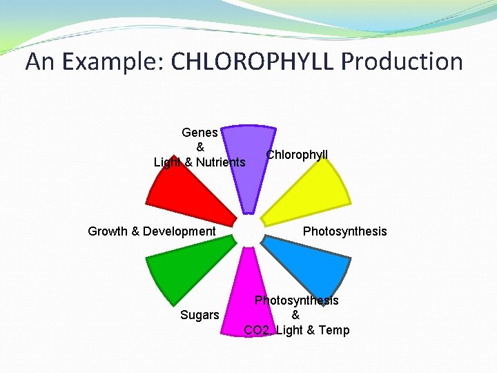 An Example: CHLOROPHYLL Production Genes & Light & Nutrients Growth & Development Sugars Chlorophyll
