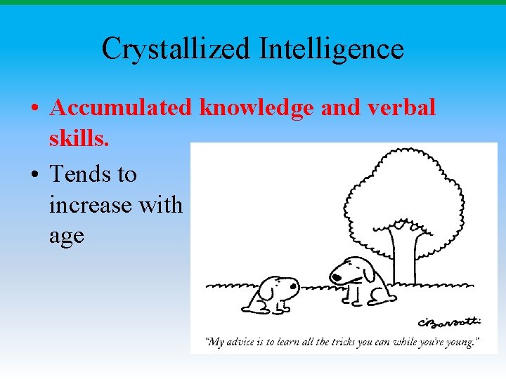 Crystallized Intelligence • Accumulated knowledge and verbal skills. • Tends to increase with age