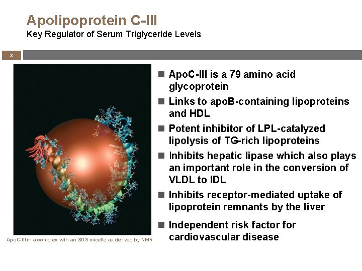 Apolipoprotein C-III Key Regulator of Serum Triglyceride Levels 3 Apo. C-III is a 79