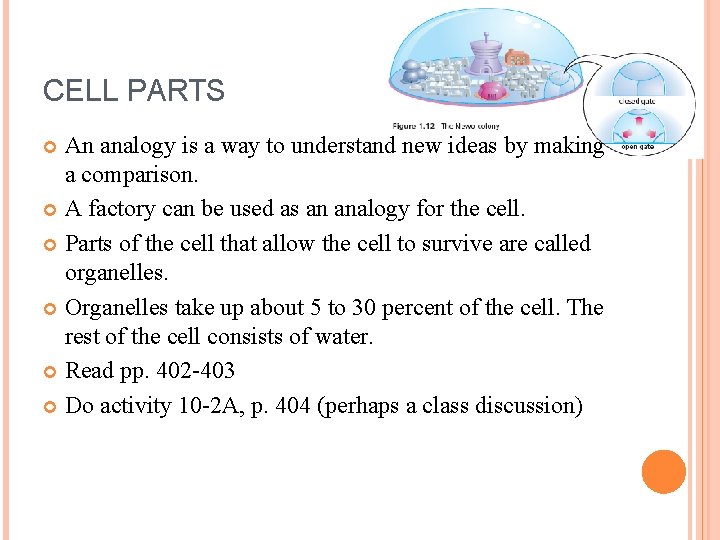 CELL PARTS An analogy is a way to understand new ideas by making a