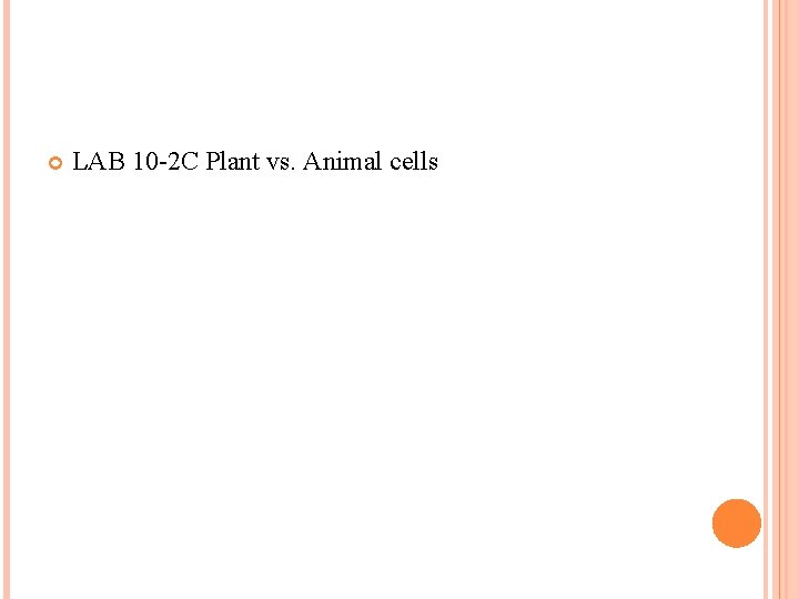  LAB 10 -2 C Plant vs. Animal cells 