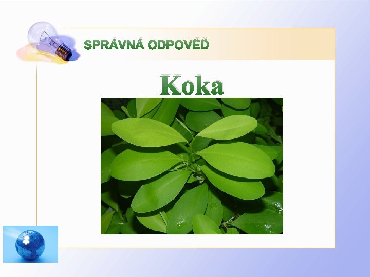 SPRÁVNÁ ODPOVĚĎ Koka 