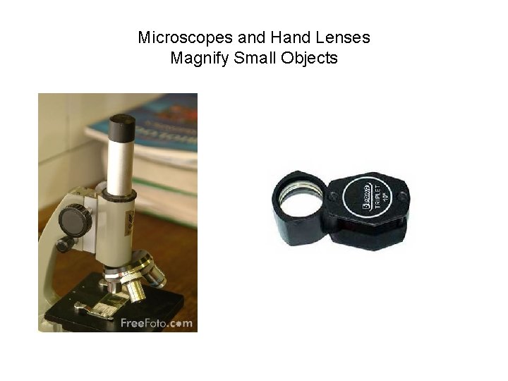 Microscopes and Hand Lenses Magnify Small Objects 