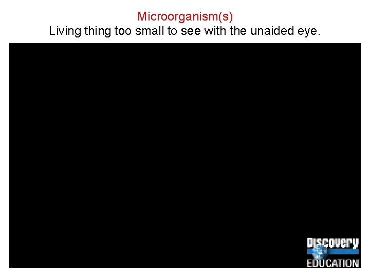 Microorganism(s) Living thing too small to see with the unaided eye. 