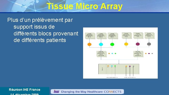 Tissue Micro Array Plus d’un prélèvement par support issus de différents blocs provenant de