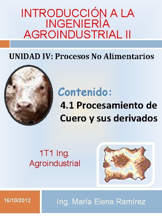 INTRODUCCIÓN A LA INGENIERÍA AGROINDUSTRIAL II UNIDAD IV: Procesos No Alimentarios Contenido: 4. 1