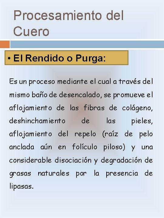 Procesamiento del Cuero • El Rendido o Purga: Es un proceso mediante el cual