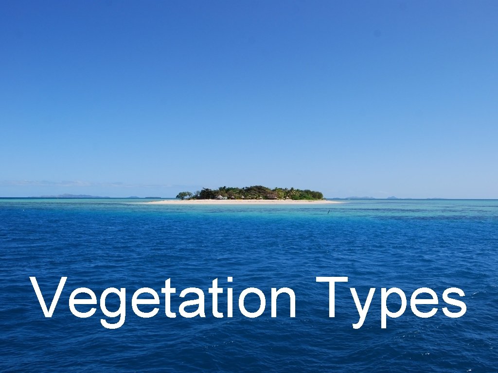 Vegetation Types 