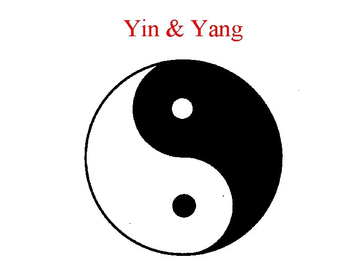 Yin & Yang 