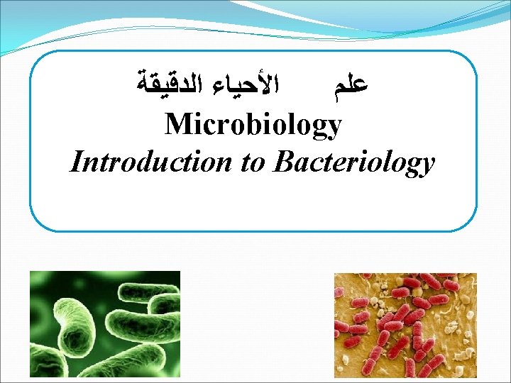  ﺍﻷﺤﻴﺎﺀ ﺍﻟﺪﻗﻴﻘﺔ ﻋﻠﻢ Microbiology Introduction to Bacteriology 