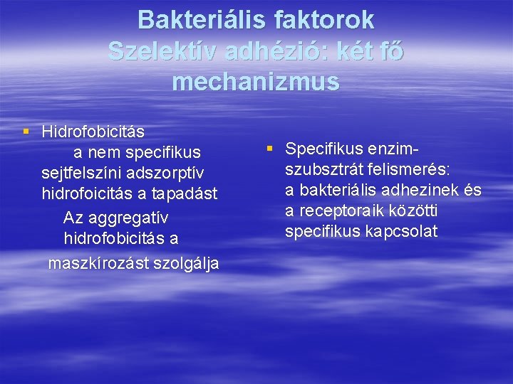 Bakteriális faktorok Szelektív adhézió: két fő mechanizmus § Hidrofobicitás a nem specifikus sejtfelszíni adszorptív