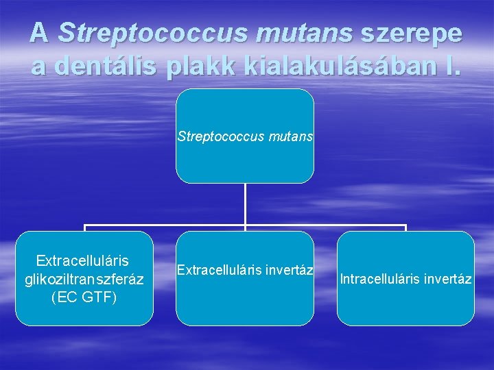 A Streptococcus mutans szerepe a dentális plakk kialakulásában I. Streptococcus mutans Extracelluláris glikoziltranszferáz (EC