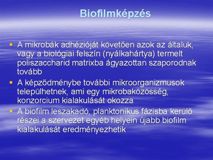 Biofilmképzés § A mikrobák adhézióját követően azok az általuk, vagy a biológiai felszín (nyálkahártya)