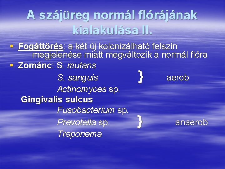 A szájüreg normál flórájának kialakulása II. § Fogáttörés: a két új kolonizálható felszín megjelenése