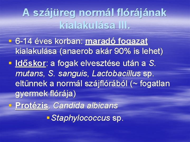 A szájüreg normál flórájának kialakulása III. § 6 -14 éves korban: maradó fogazat kialakulása