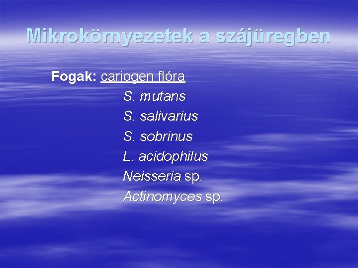 Mikrokörnyezetek a szájüregben Fogak: cariogen flóra S. mutans S. salivarius S. sobrinus L. acidophilus