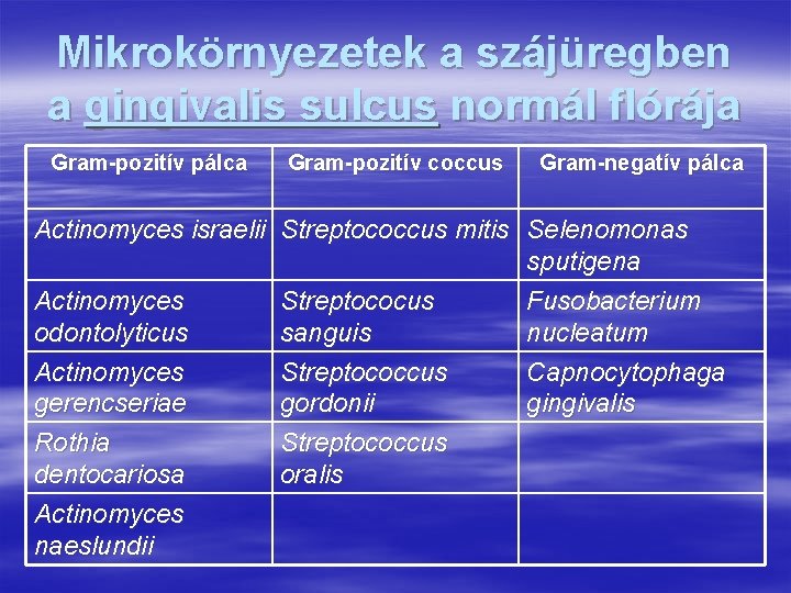 Mikrokörnyezetek a szájüregben a gingivalis sulcus normál flórája Gram-pozitív pálca Gram-pozitív coccus Gram-negatív pálca