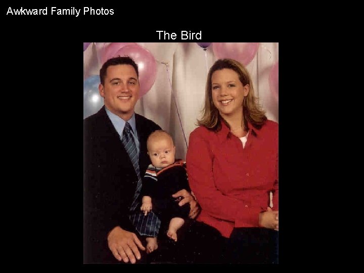 Awkward Family Photos The Bird 