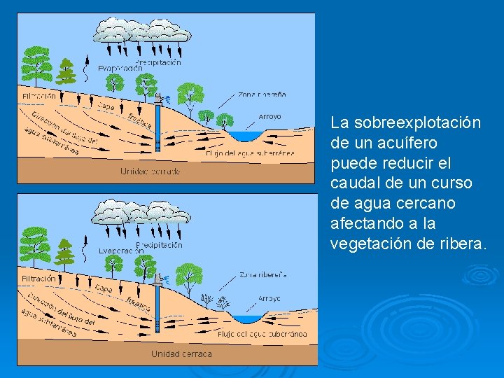 La sobreexplotación de un acuífero puede reducir el caudal de un curso de agua