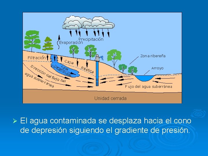 Ø El agua contaminada se desplaza hacia el cono de depresión siguiendo el gradiente
