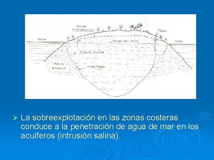 Ø La sobreexplotación en las zonas costeras conduce a la penetración de agua de