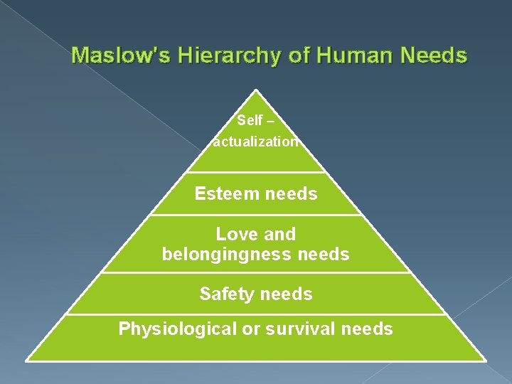 Maslow's Hierarchy of Human Needs Self – actualization Esteem needs Love and belongingness needs