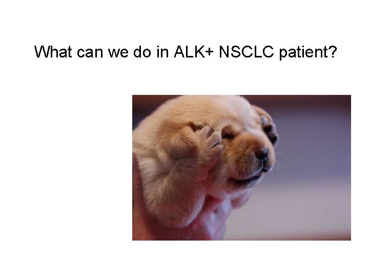 What can we do in ALK+ NSCLC patient? 