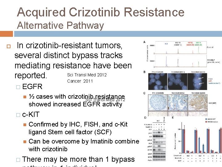 Acquired Crizotinib Resistance Alternative Pathway In crizotinib-resistant tumors, several distinct bypass tracks mediating resistance