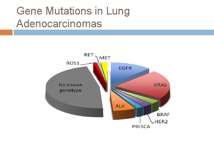 Gene Mutations in Lung Adenocarcinomas 