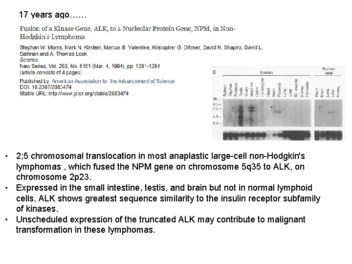 17 years ago…… • 2; 5 chromosomal translocation in most anaplastic large-cell non-Hodgkin's lymphomas
