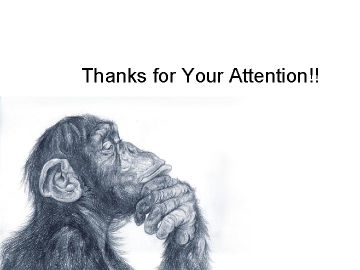 Thanks for Your Attention!! 