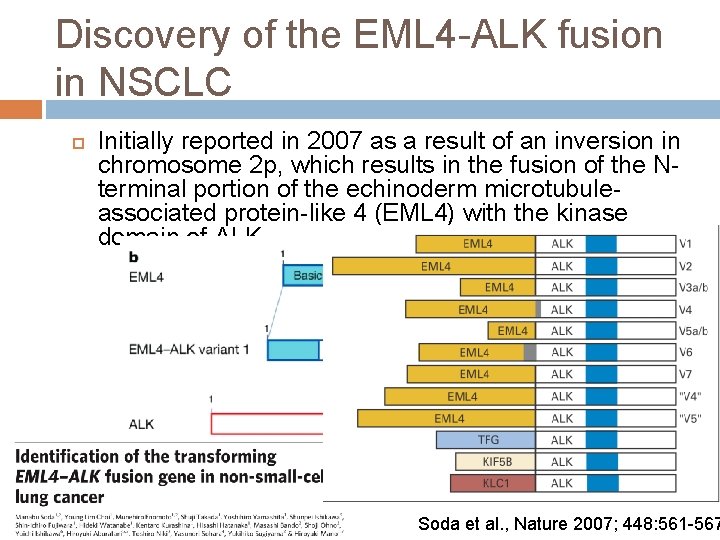 Discovery of the EML 4 -ALK fusion in NSCLC Initially reported in 2007 as