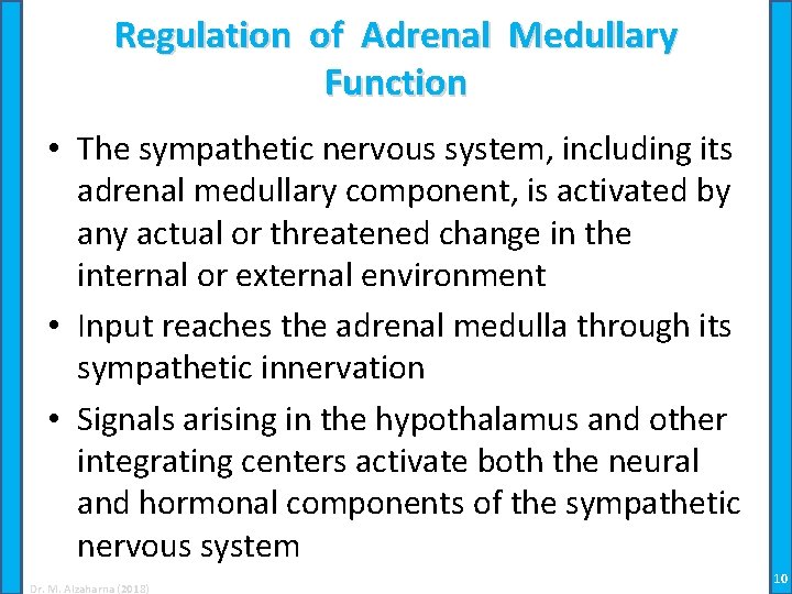 Regulation of Adrenal Medullary Function • The sympathetic nervous system, including its adrenal medullary