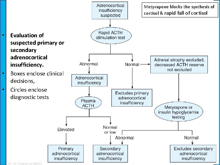 Metyrapone blocks the synthesis of cortisol & rapid fall of cortisol • Evaluation of